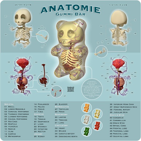La anatomía de un pandita