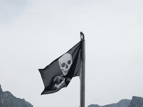 El partido pirata logra entrar al parlamento europeo